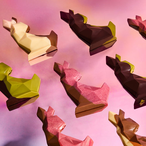A delicious journey with Chocolat de Kat